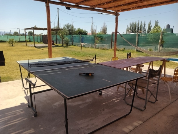 WhatsApp Image 2024-08-14 at 12.56.50.jpeg